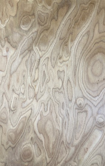 Walnut Burl 10.07
